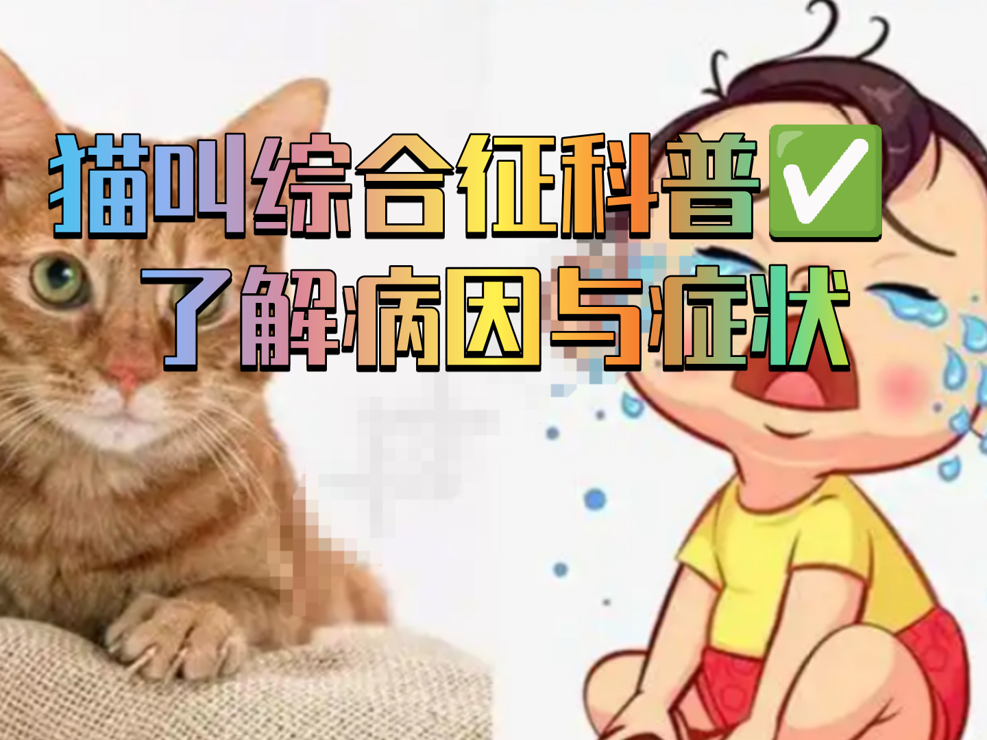 猫叫综合征
