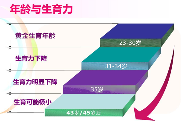 女性年龄与生育力.png