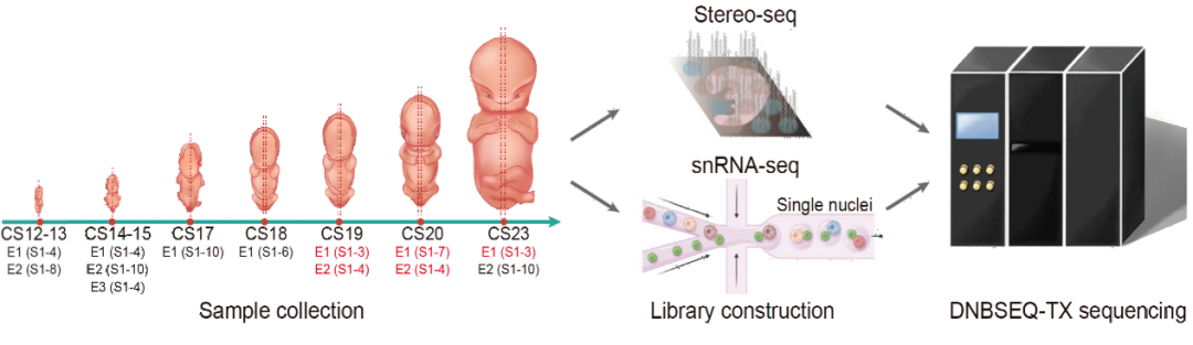 参考资料