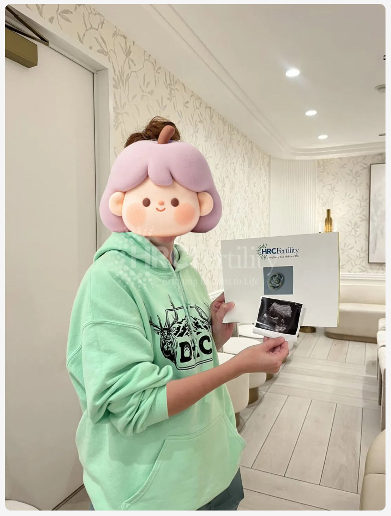 成功案例
