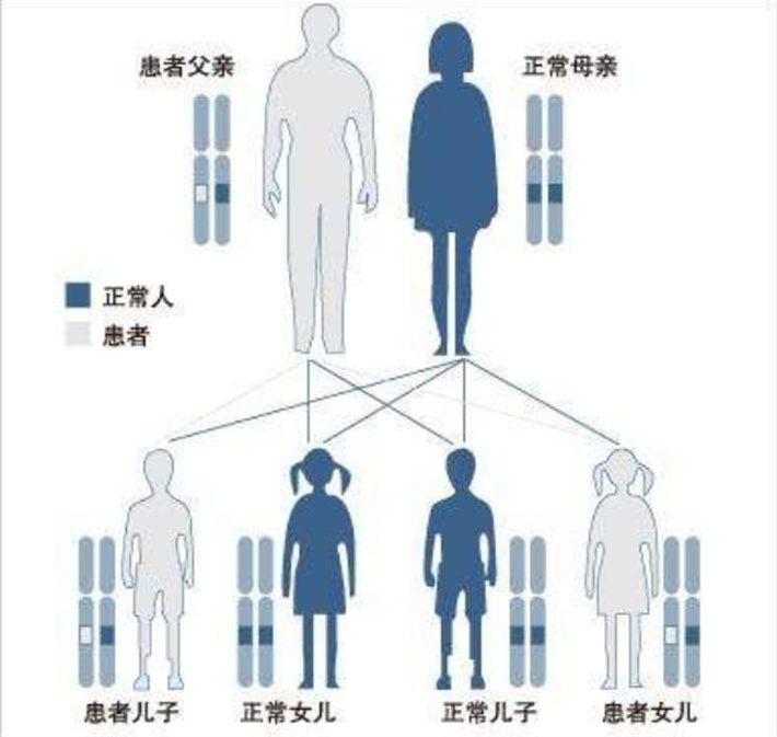 隐形基因遗传图谱