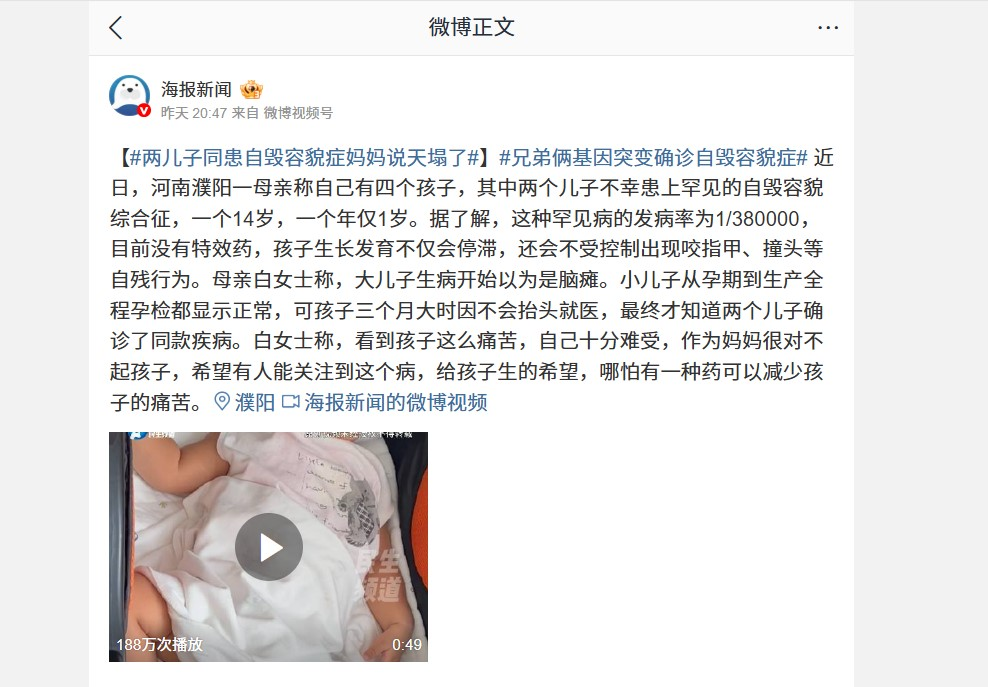 参考资料