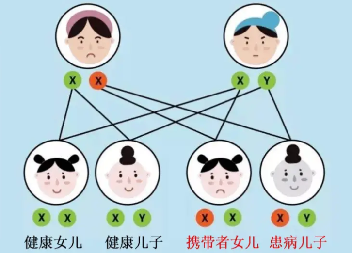 遗传图谱