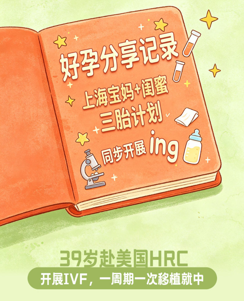 成功案例