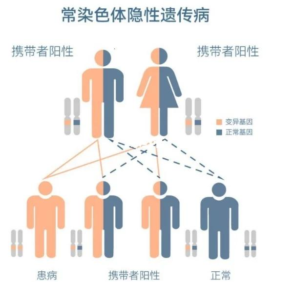 常染色体隐性遗传
