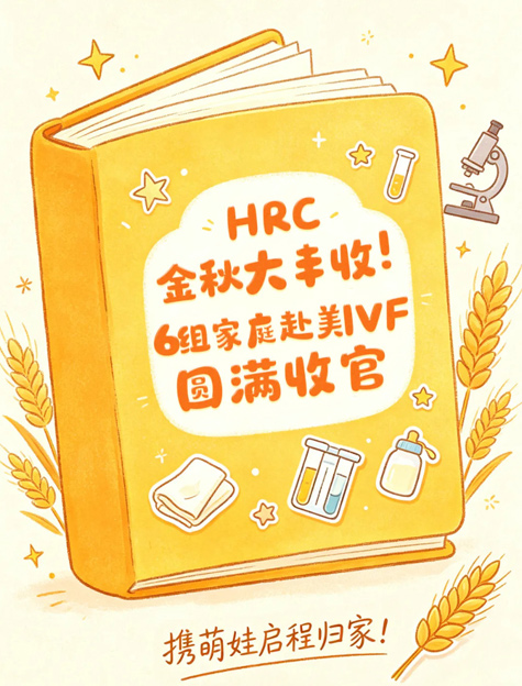成功案例