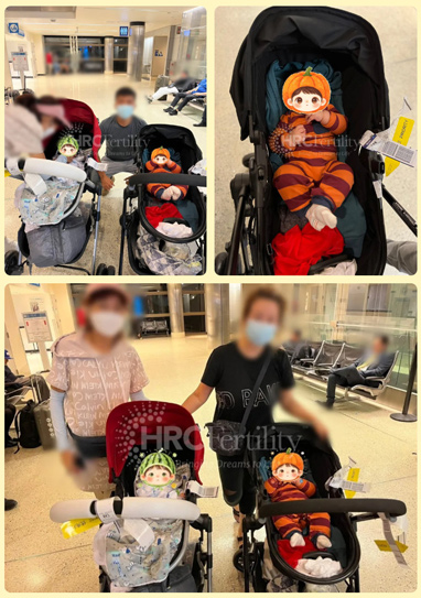 成功案例
