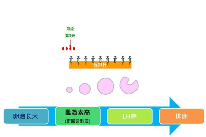 促排卵