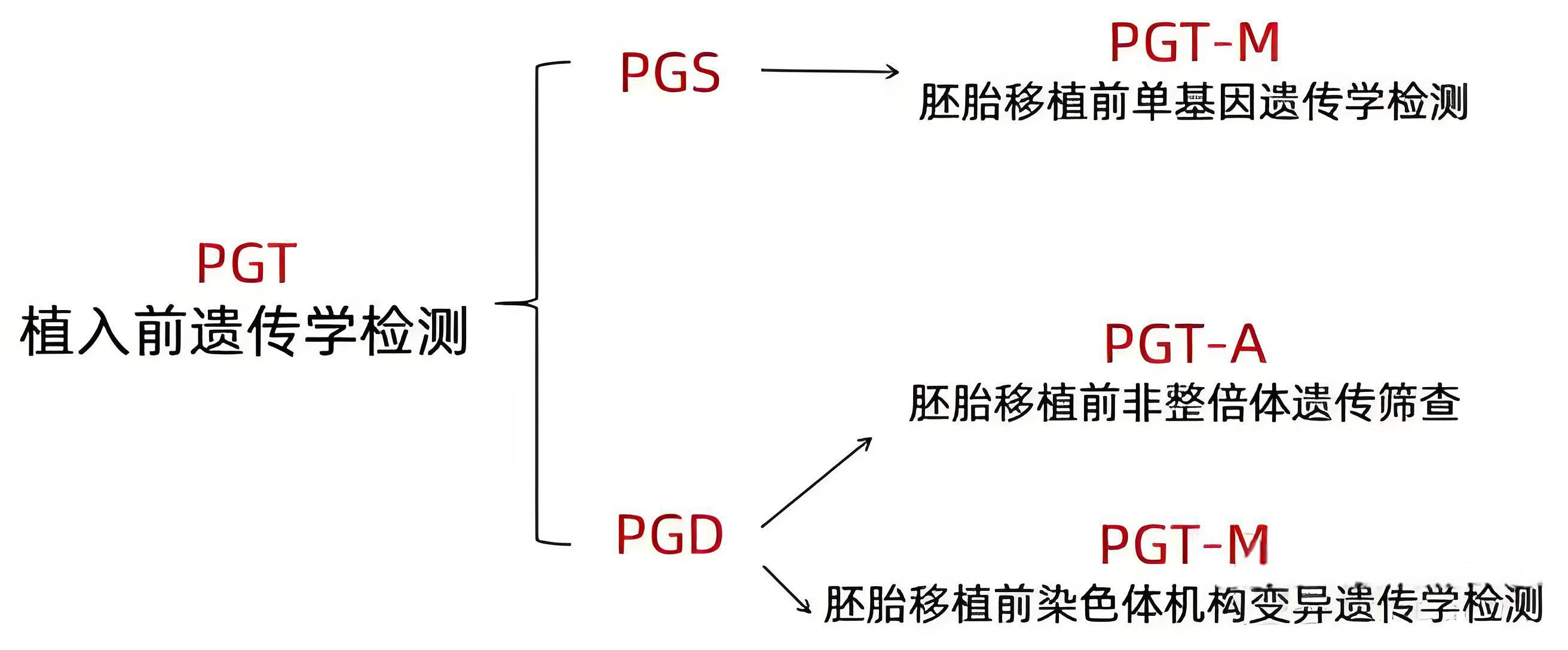 PGT技术