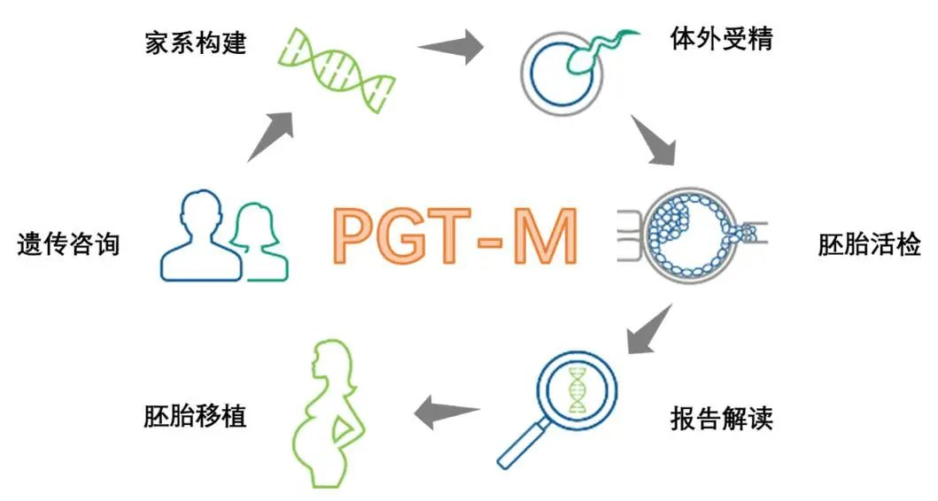 PGT-M技术