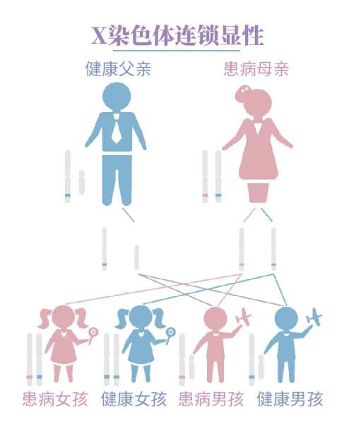 X连锁显性遗传