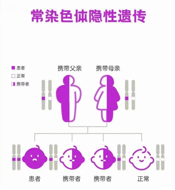 常染色体隐性遗传
