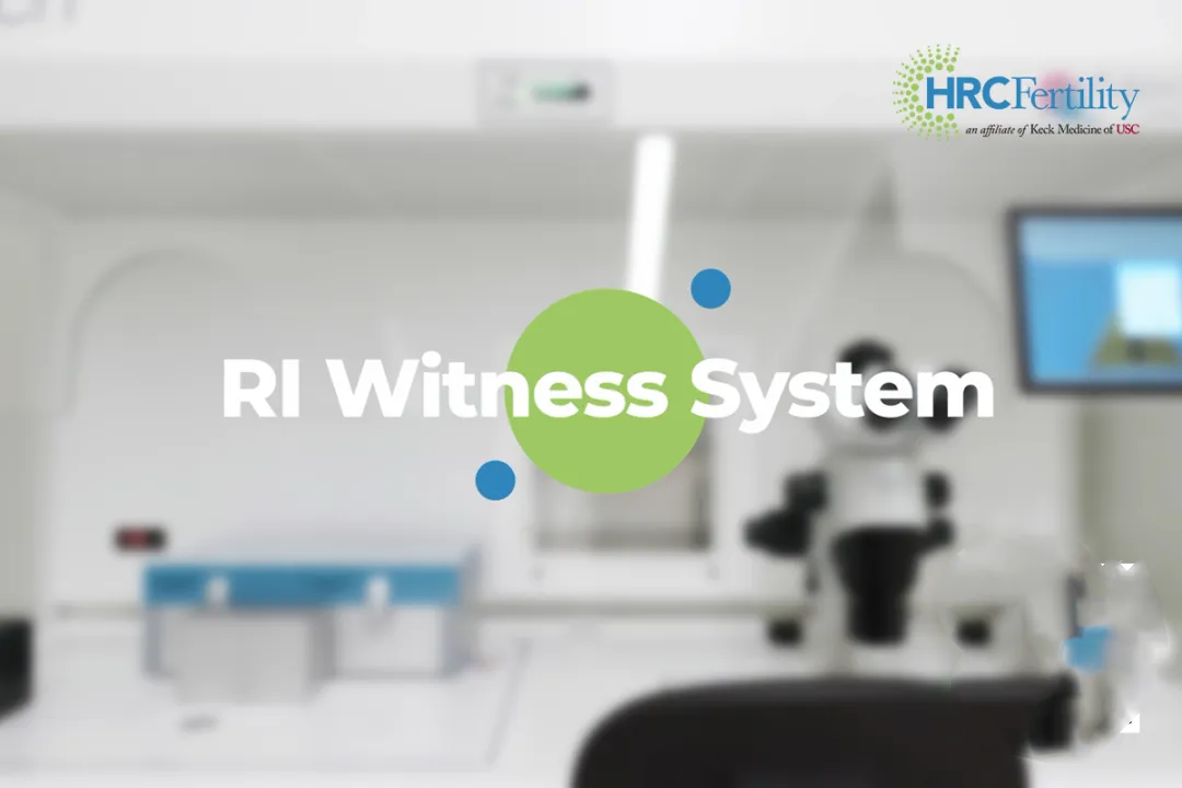 RI Witness系统