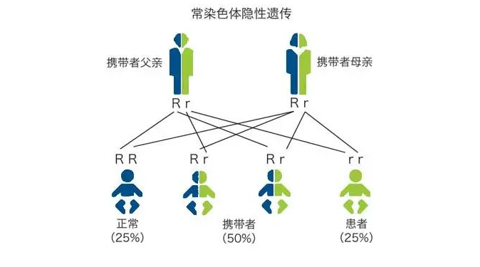 常染色体隐性遗传