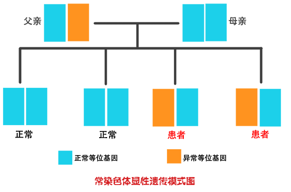 常染色体显性遗传