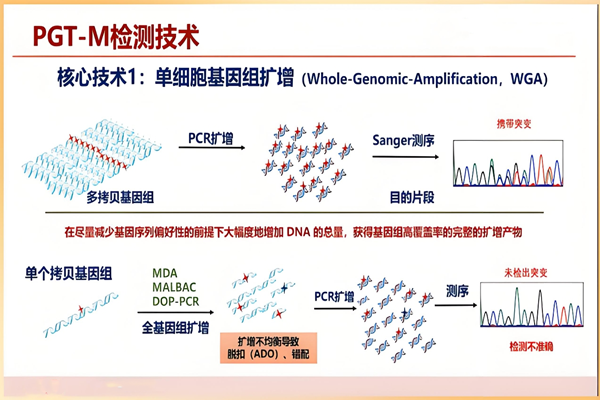 PGT-M技术
